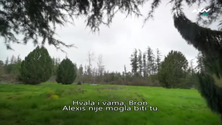 AXNSpin