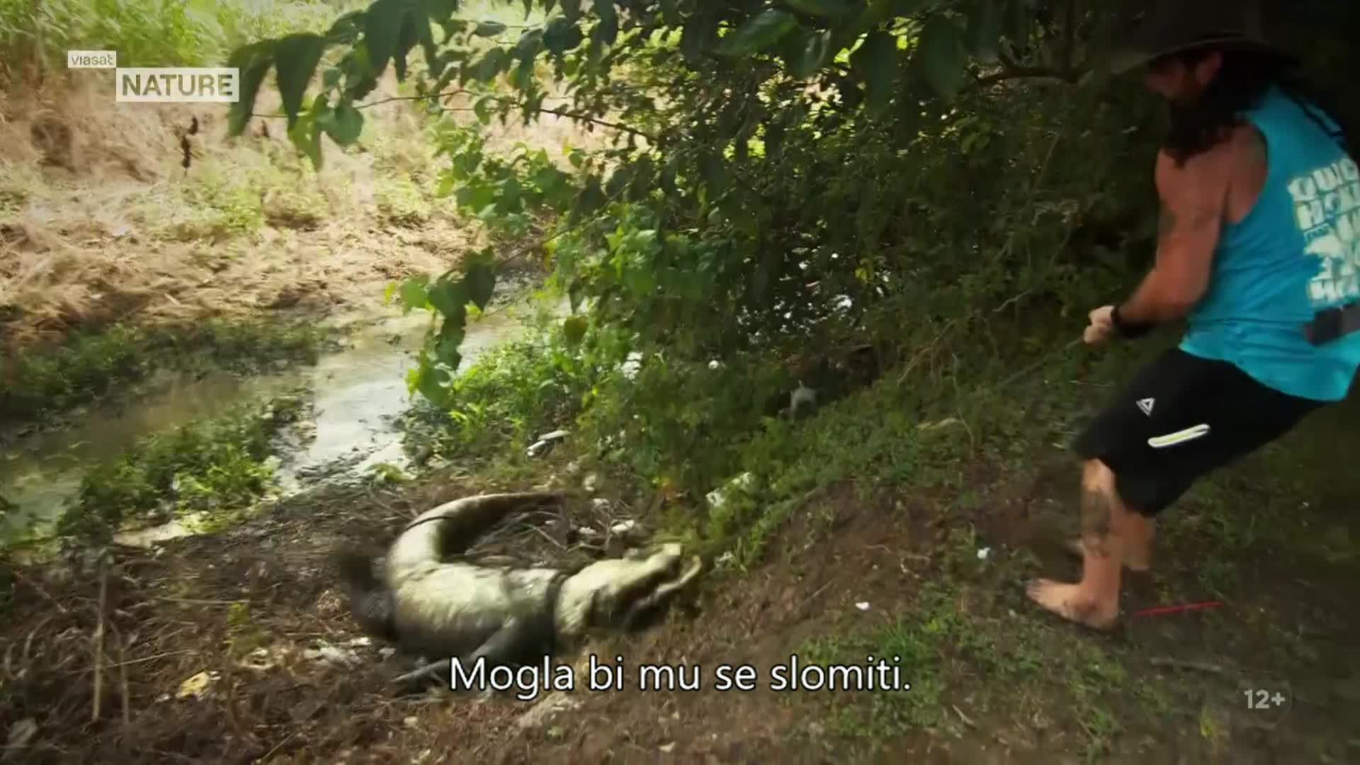 ViasatNature