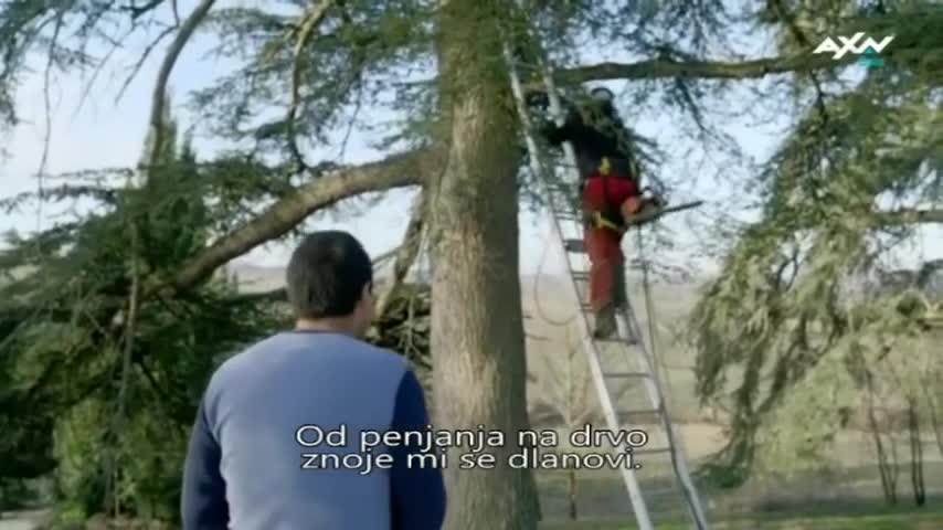 AXNSpin