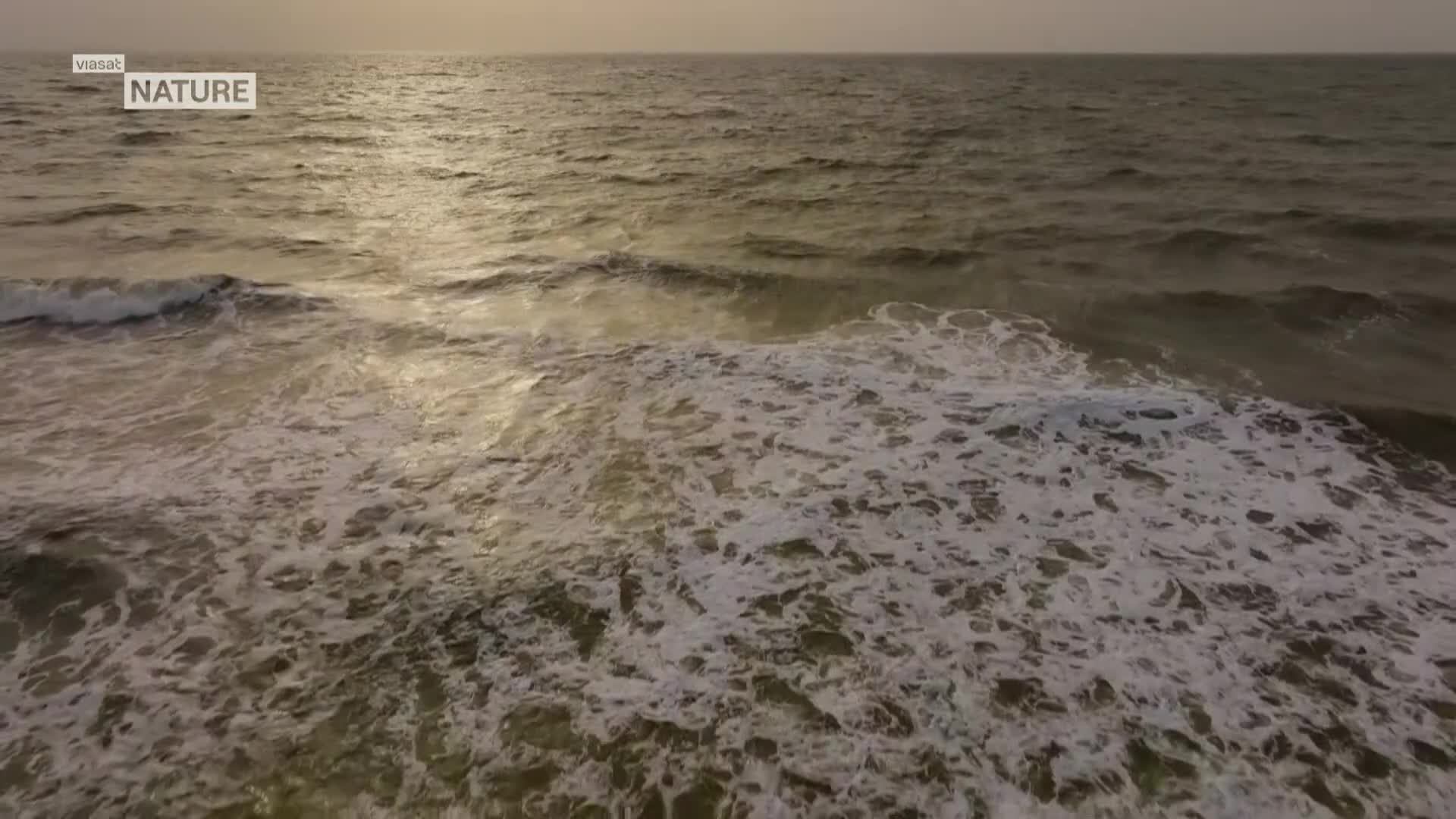 ViasatNature