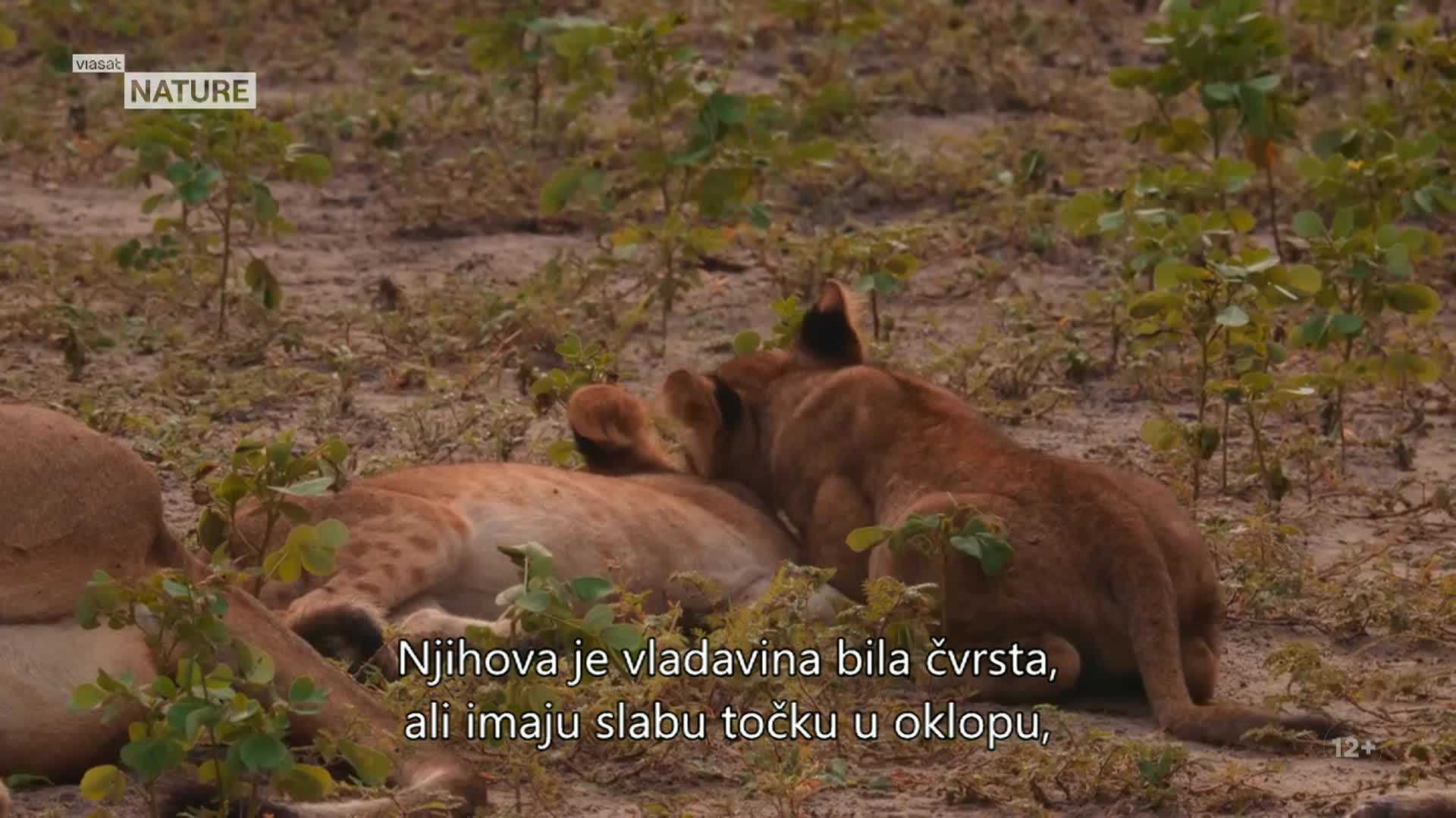 ViasatNature