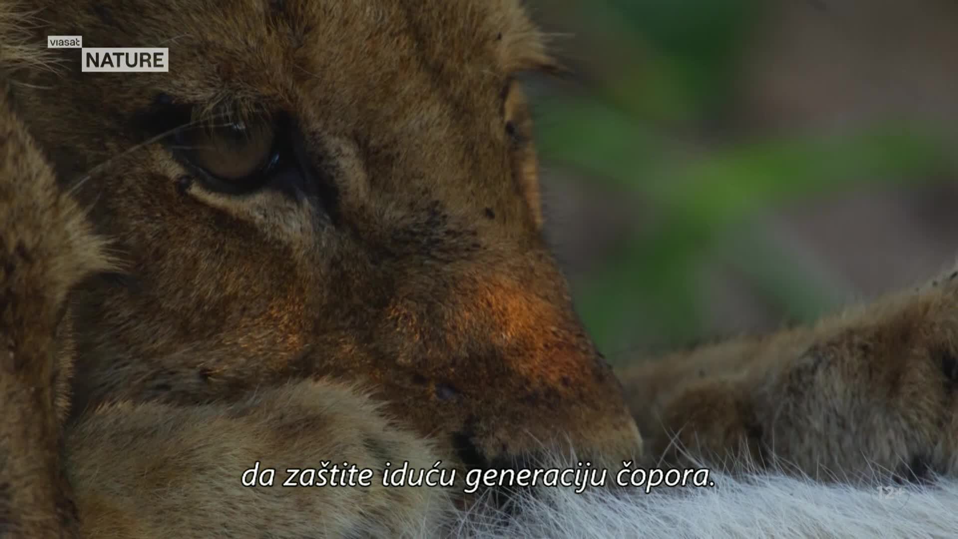 ViasatNature