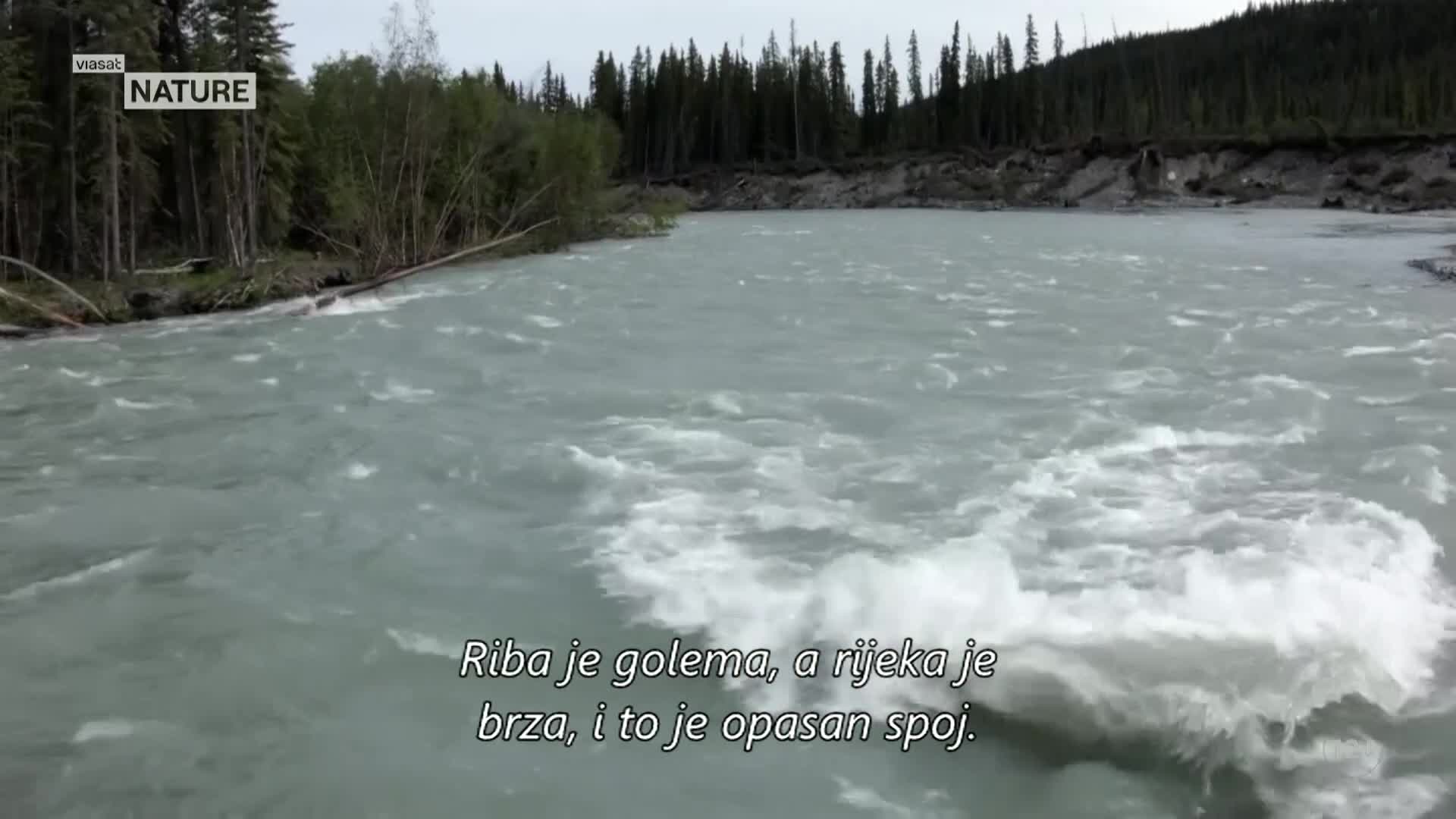ViasatNature
