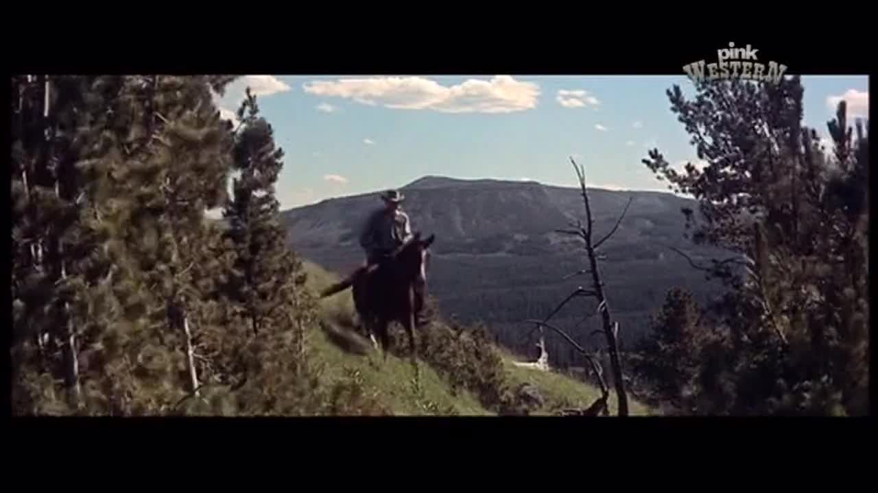 PinkWestern