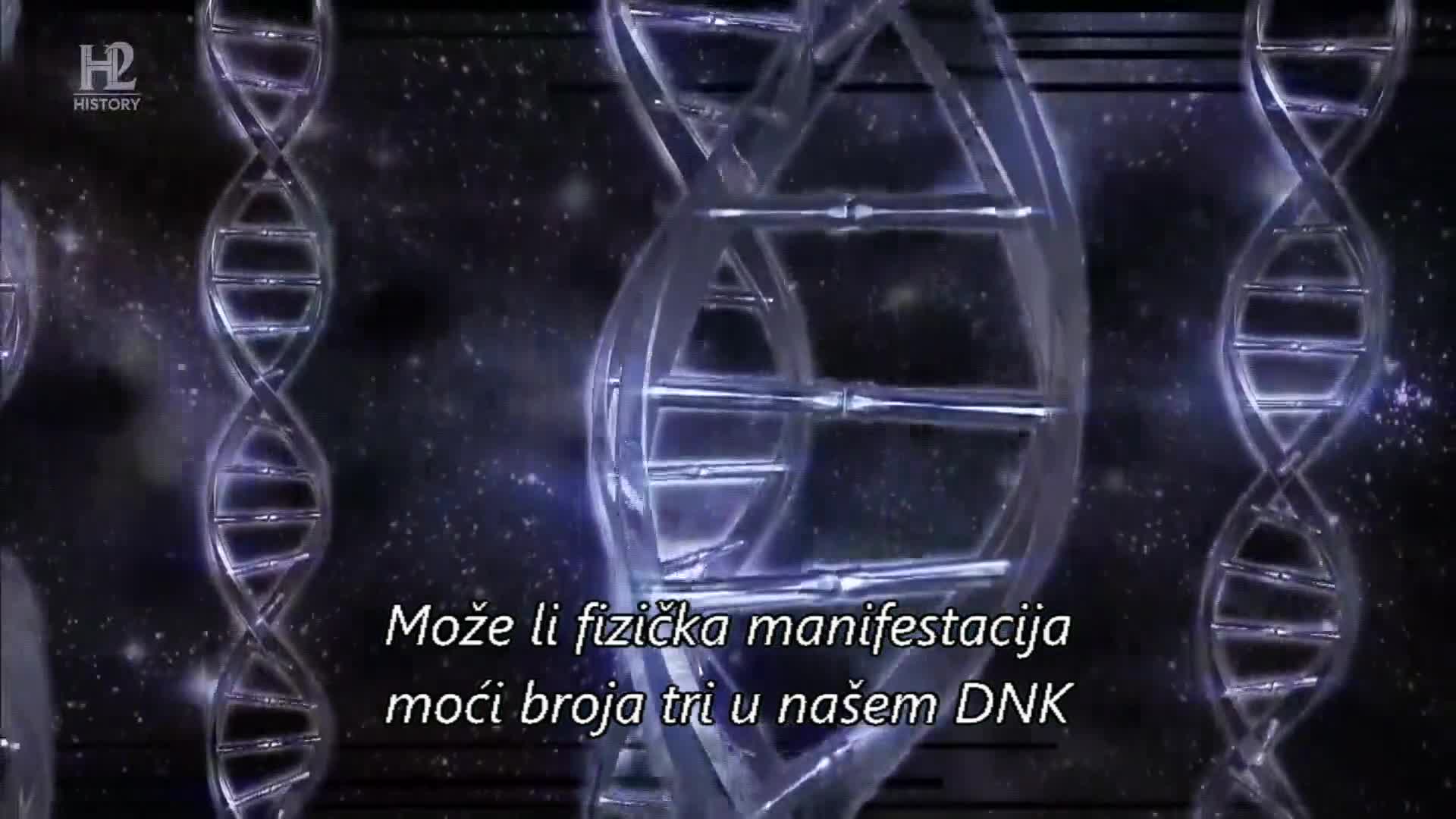 History2