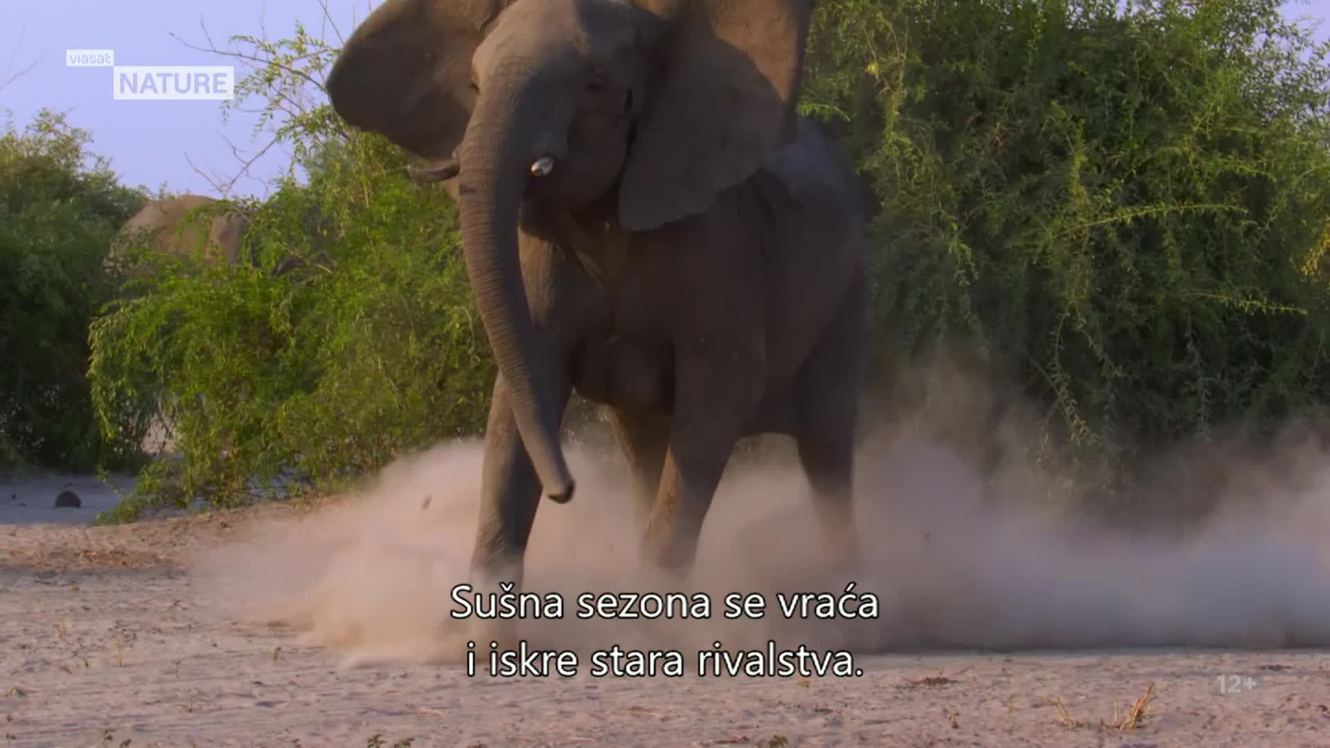 ViasatNature