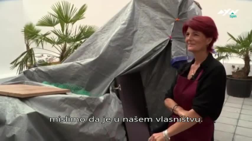 AXNSpin
