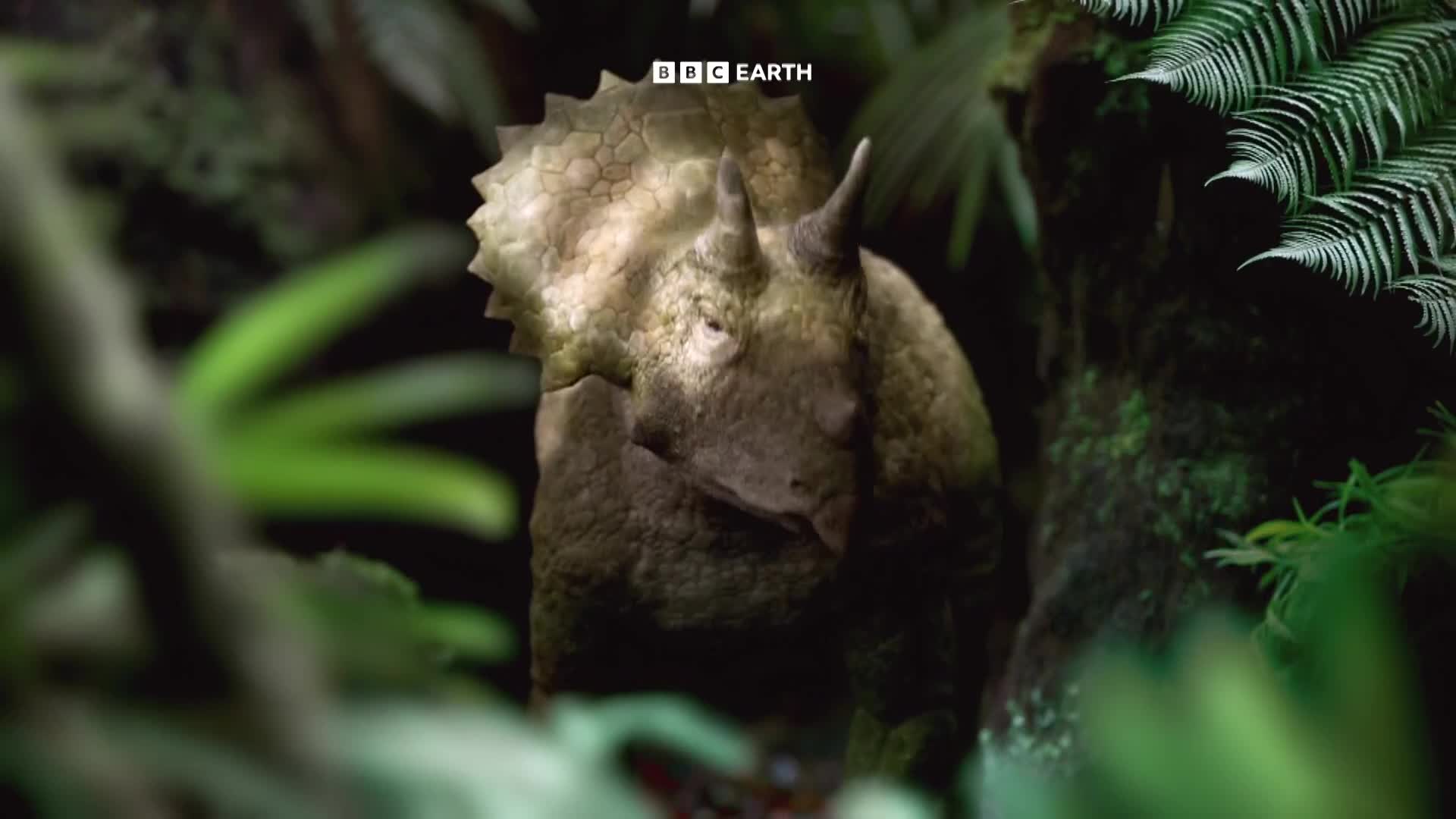 BBCEarth