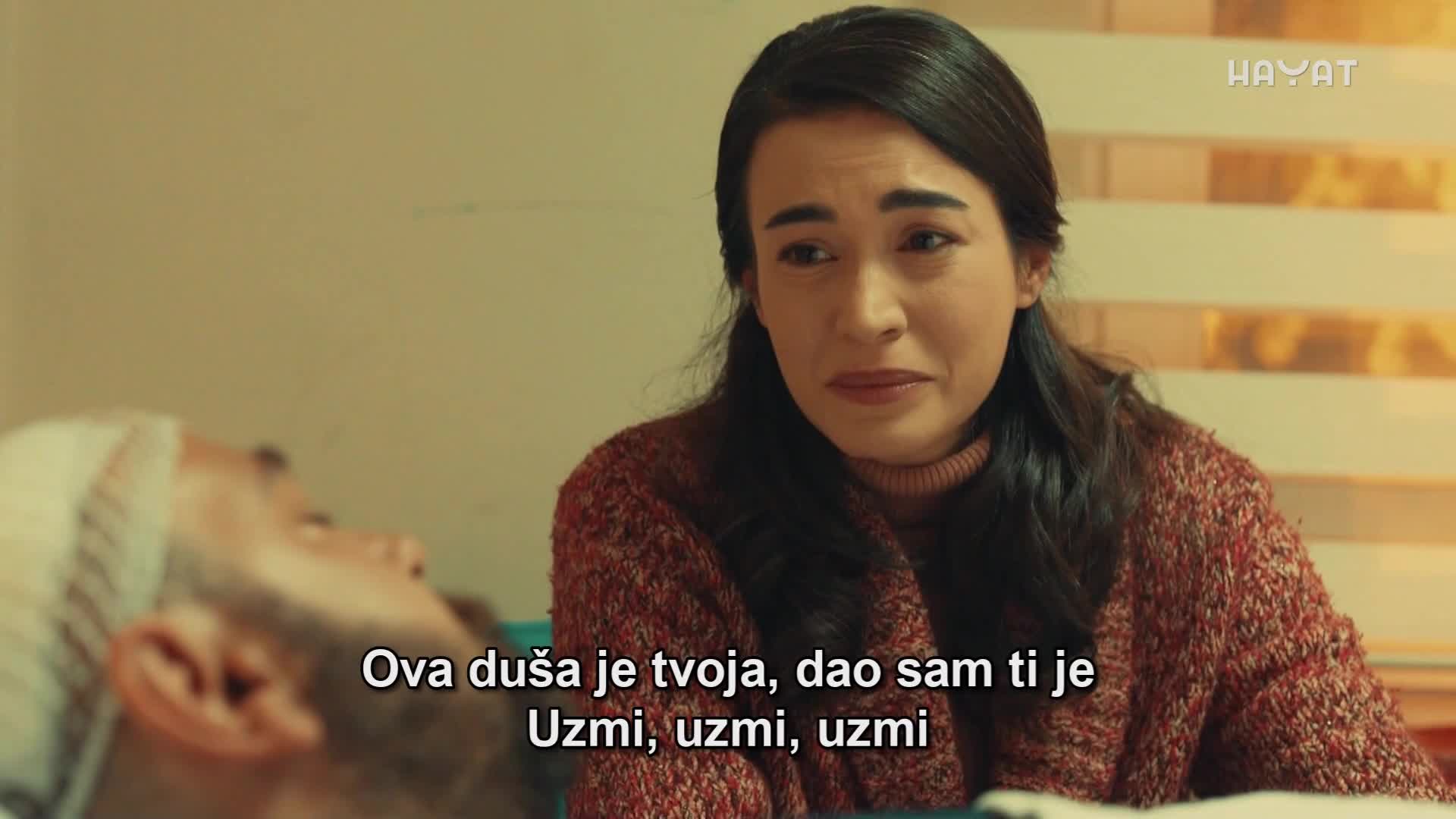 hayat