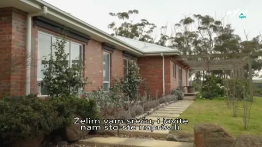 AXNSpin