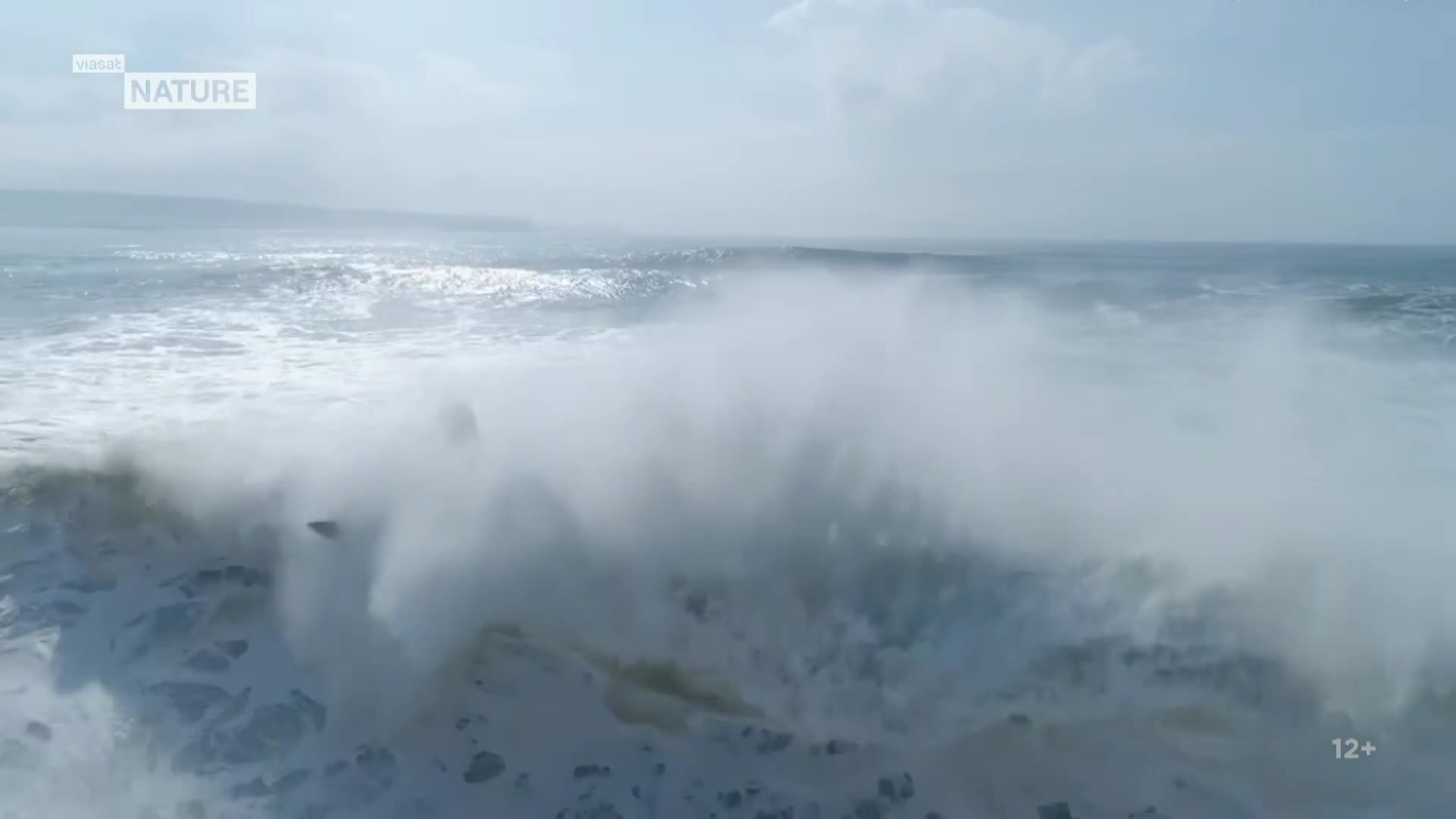 ViasatNature
