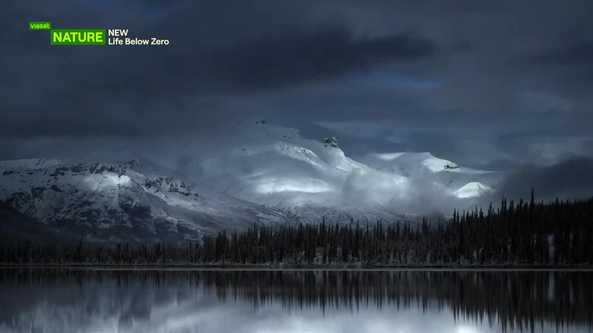 ViasatNature