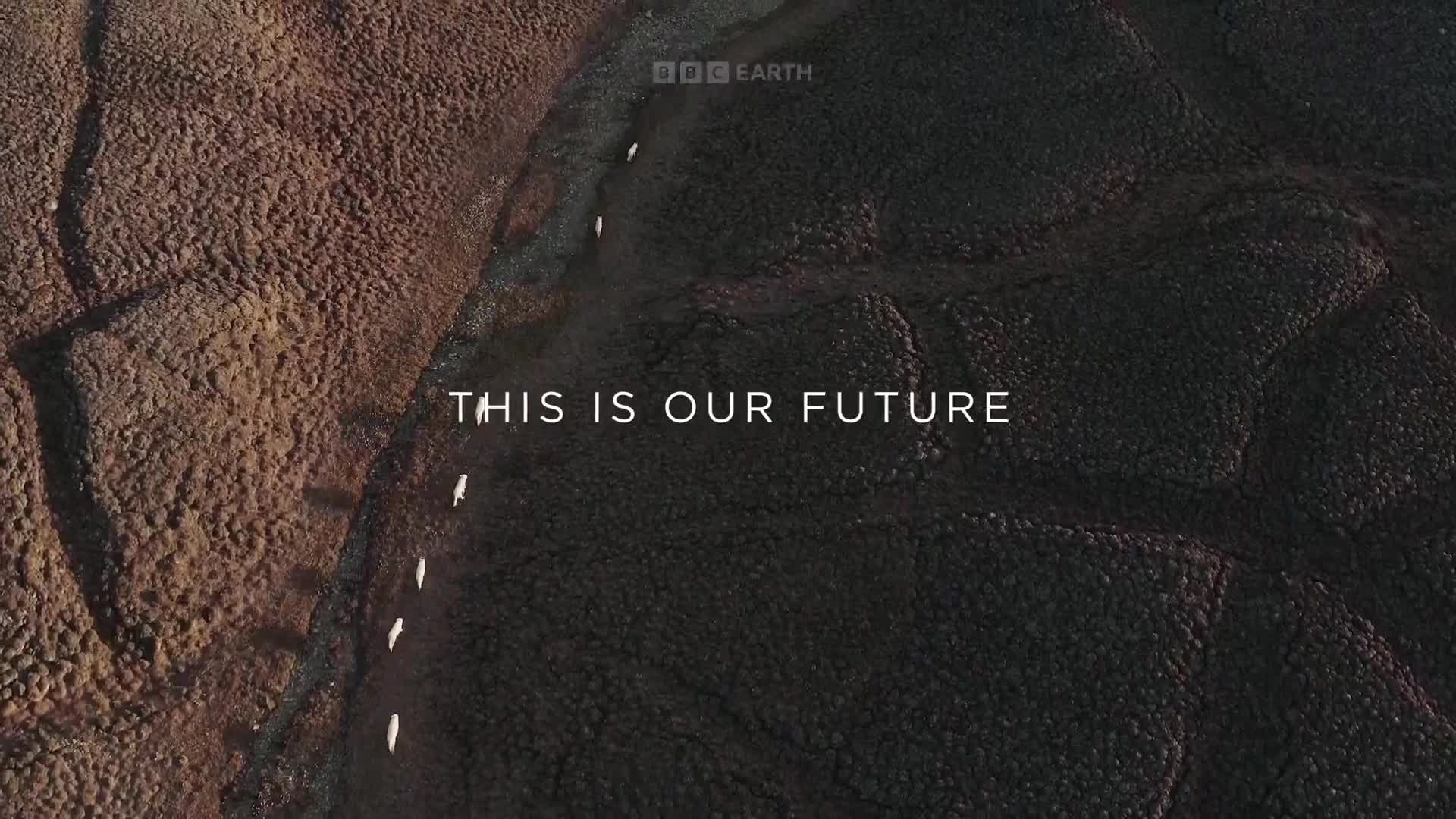 BBCEarth