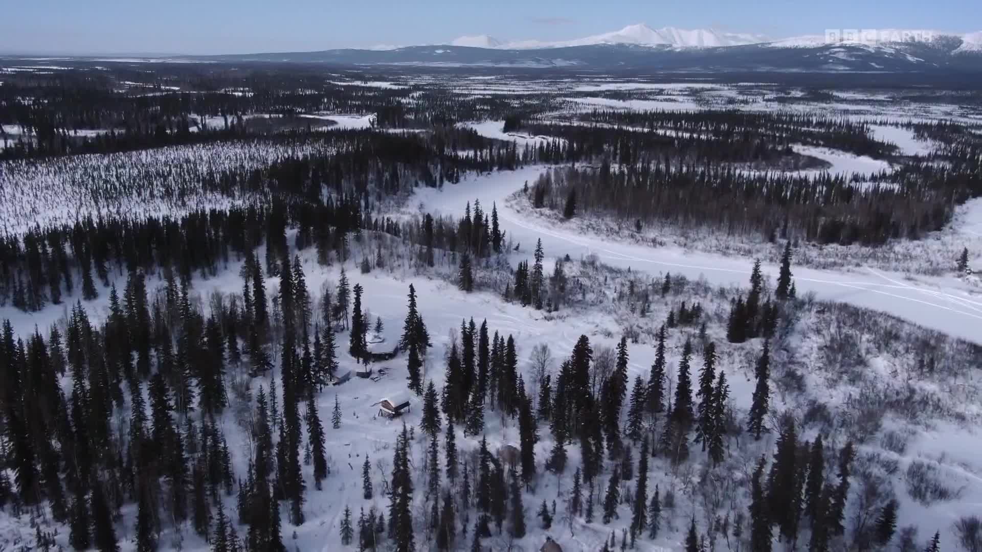 BBCEarth