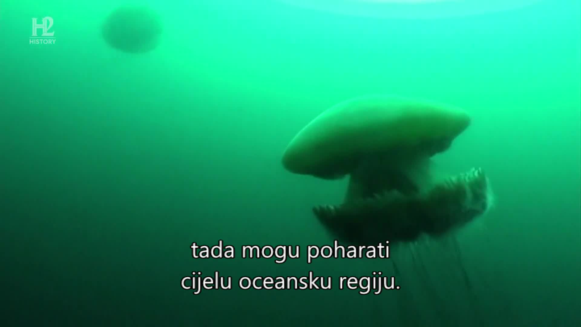 History2
