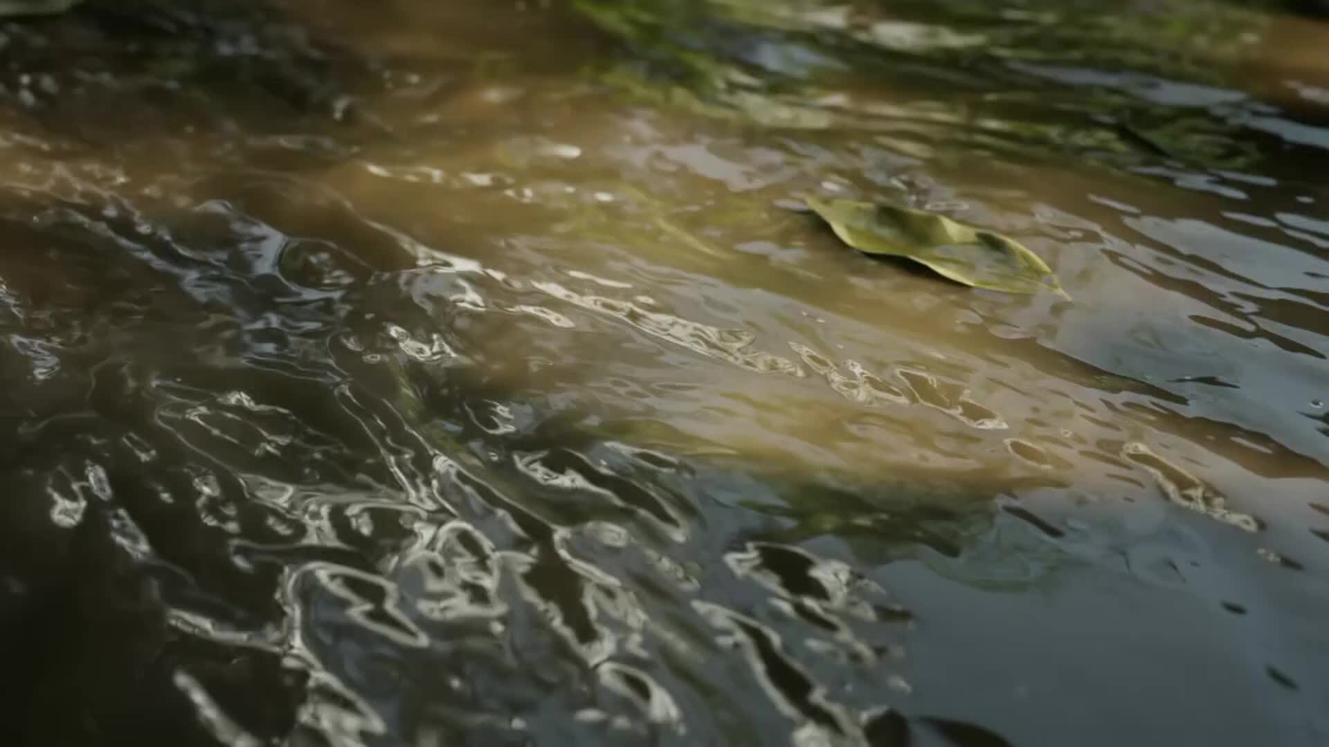ViasatNature
