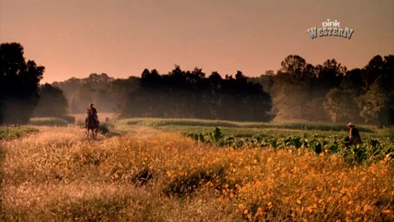PinkWestern