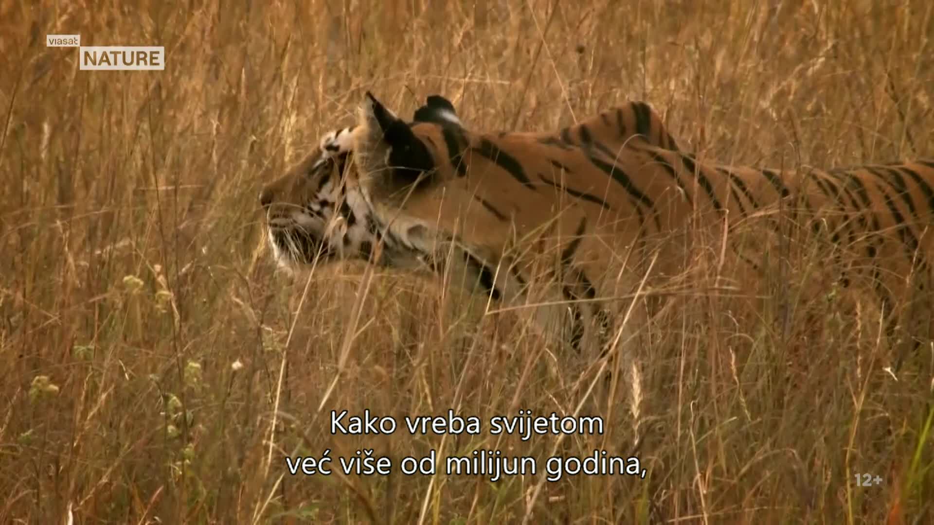 ViasatNature