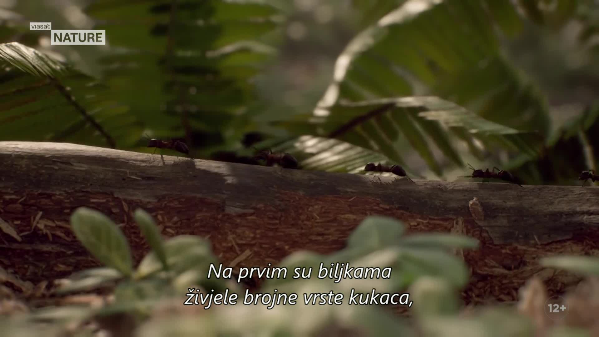 ViasatNature