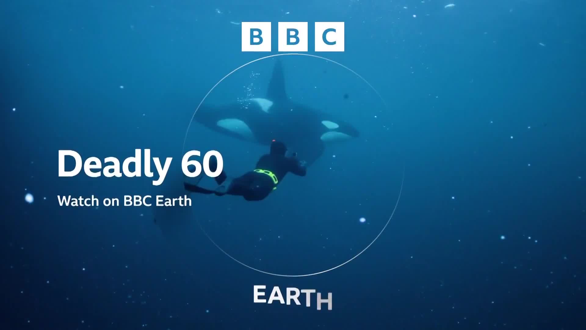 BBCEarth
