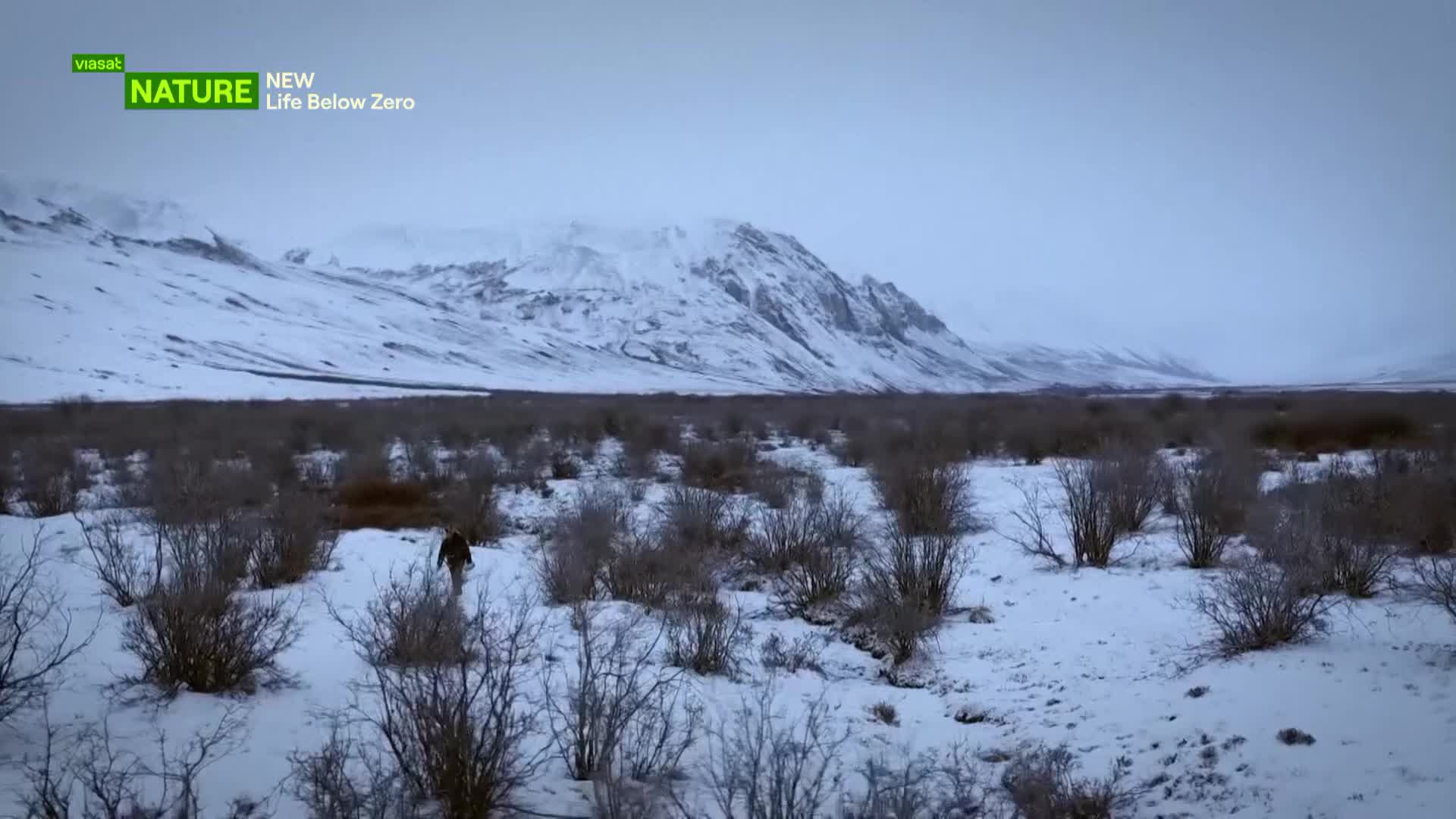 ViasatNature