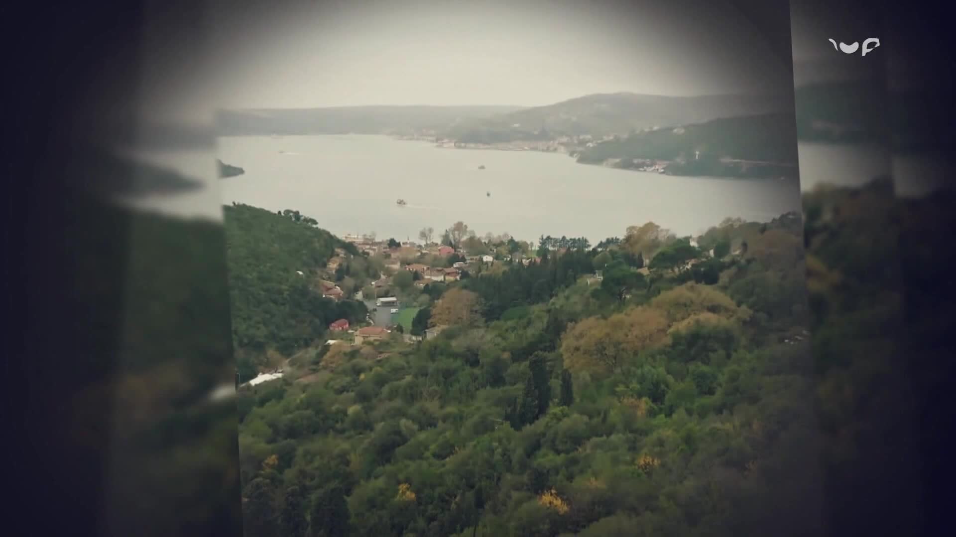 hayat