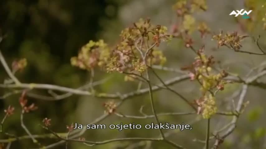 AXNSpin