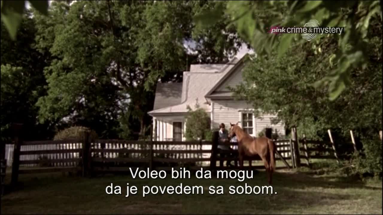 PinkCrimeMystery