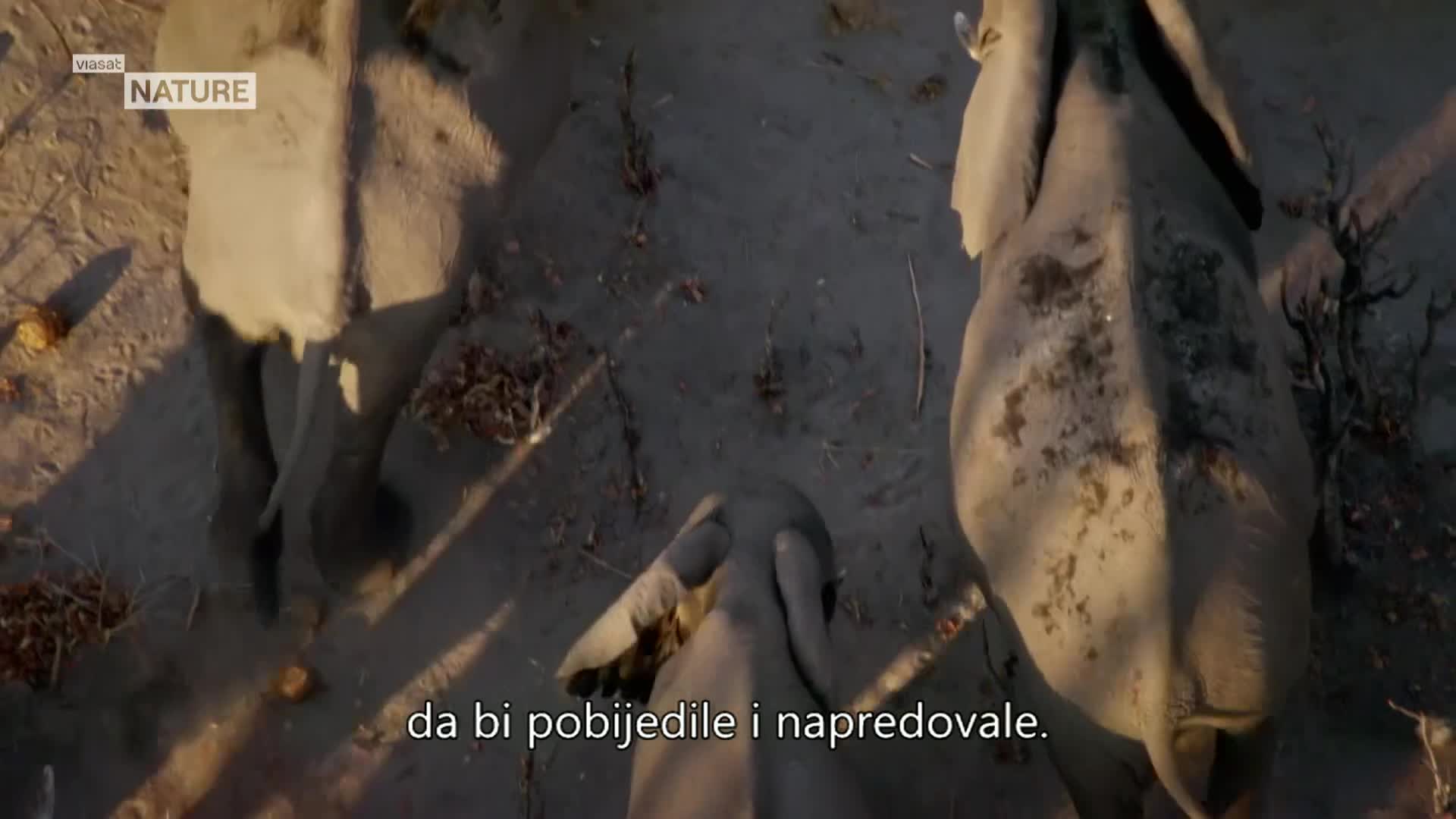 ViasatNature