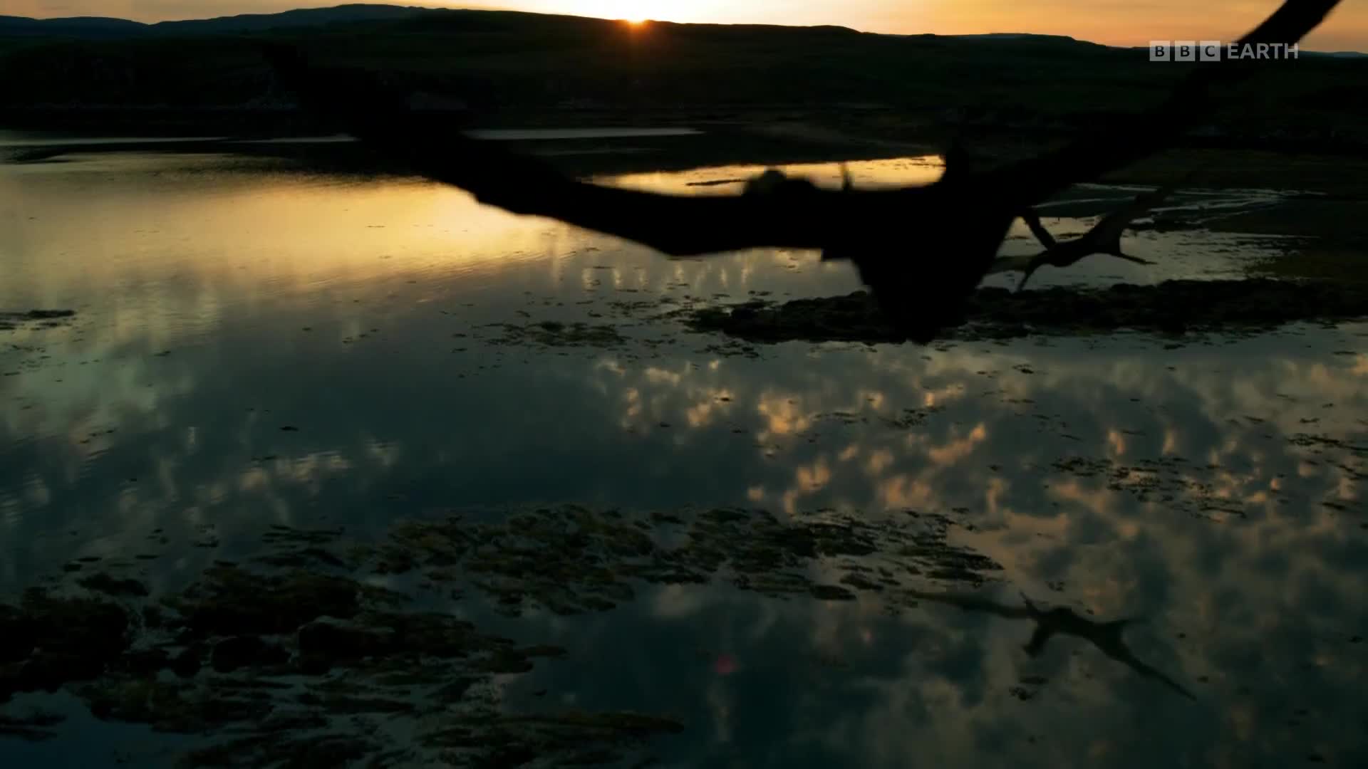BBCEarth