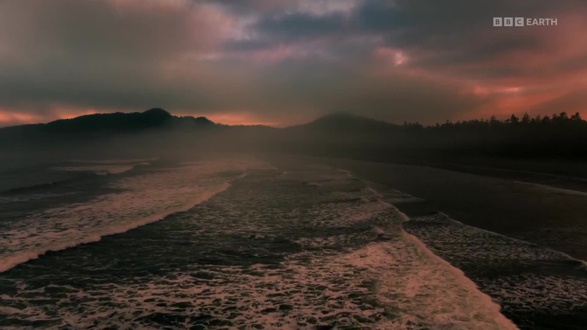 BBCEarth