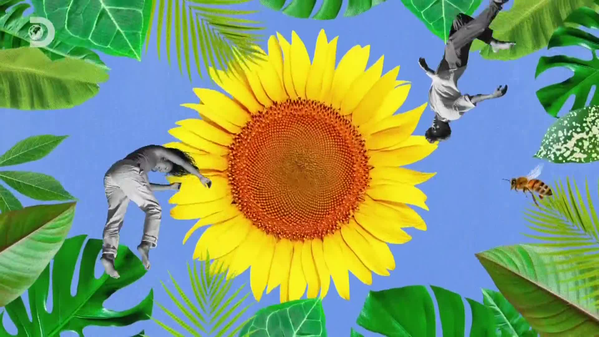 ViasatExplorer