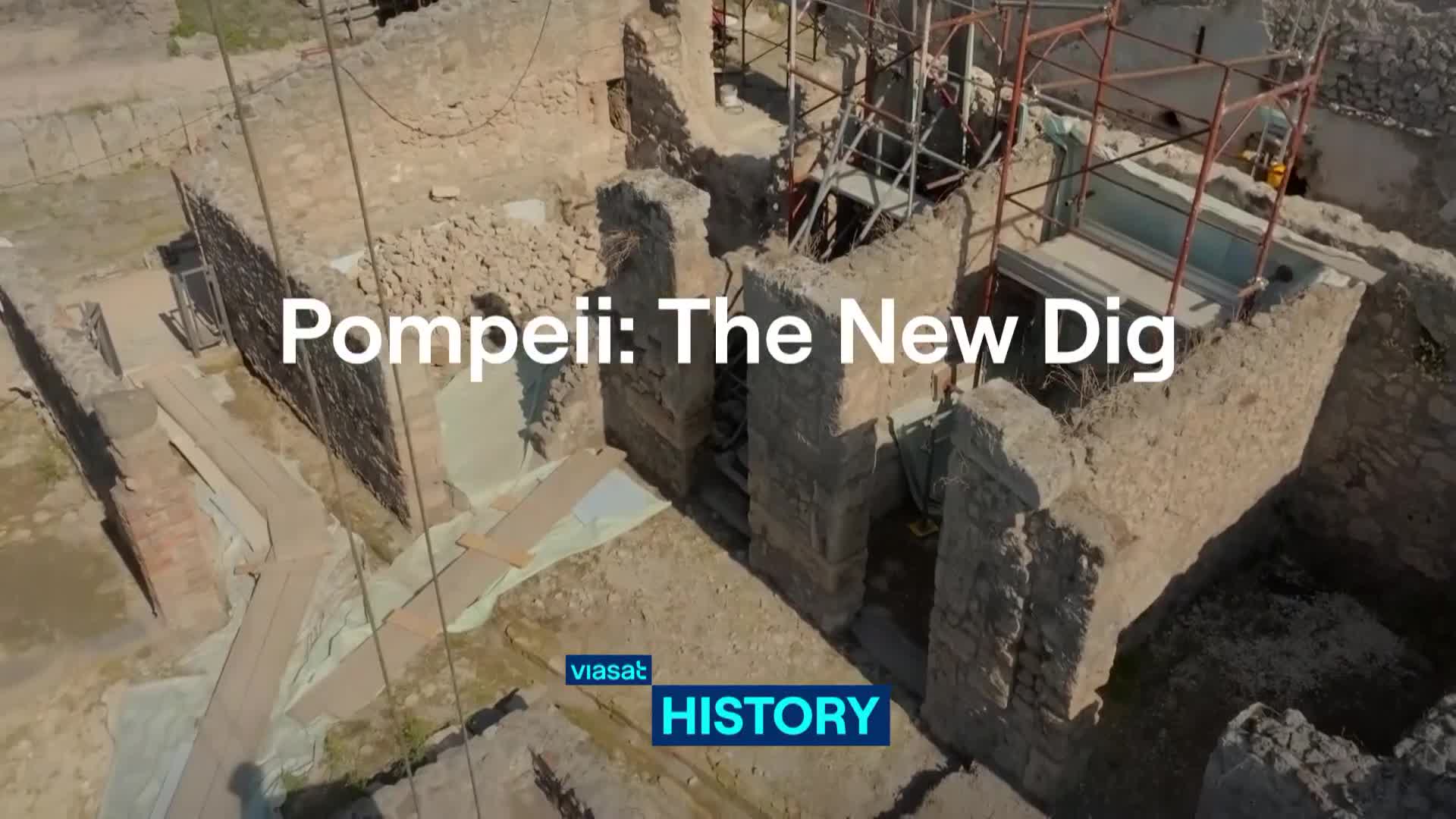 ViasatHistory