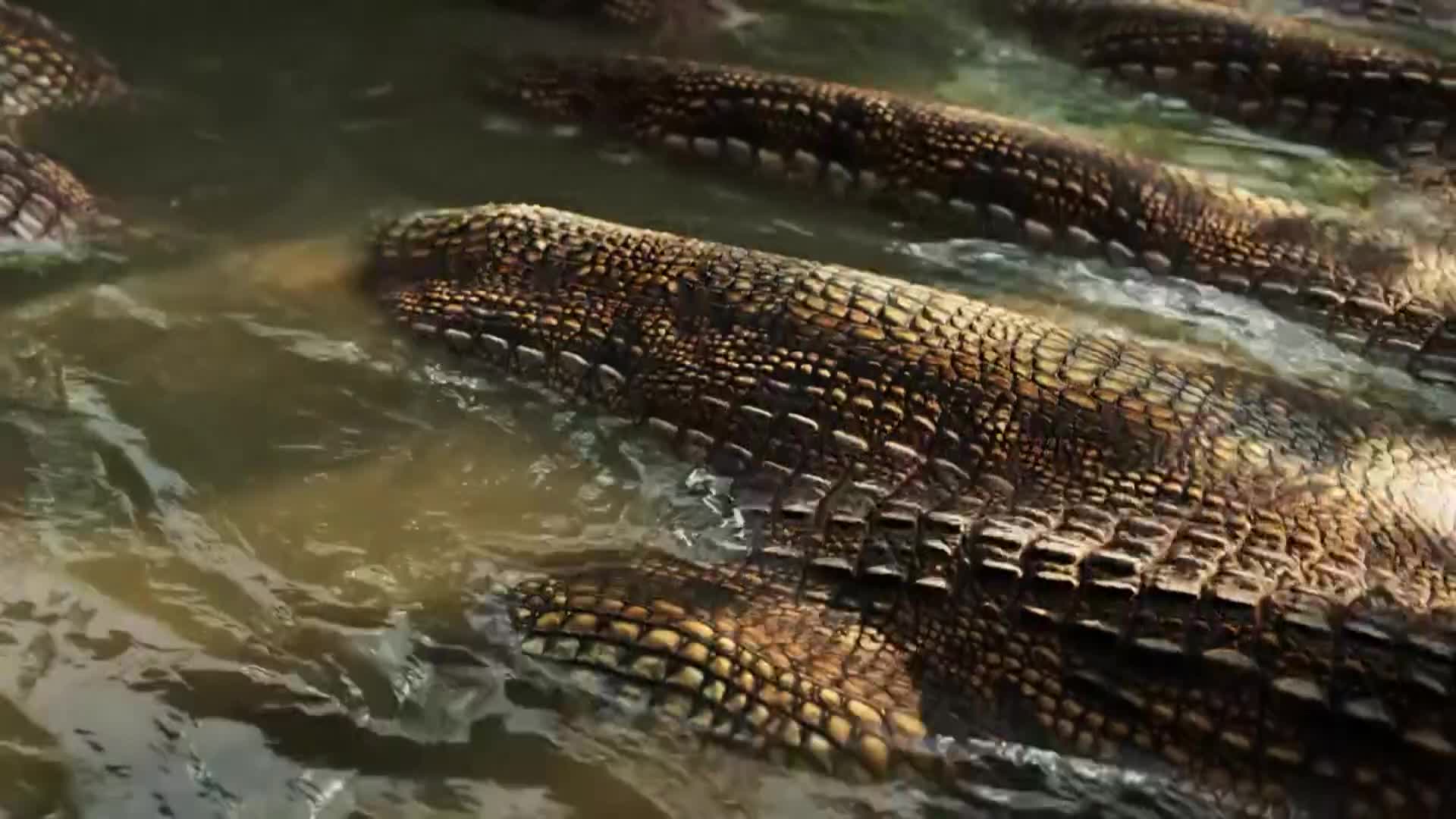ViasatNature