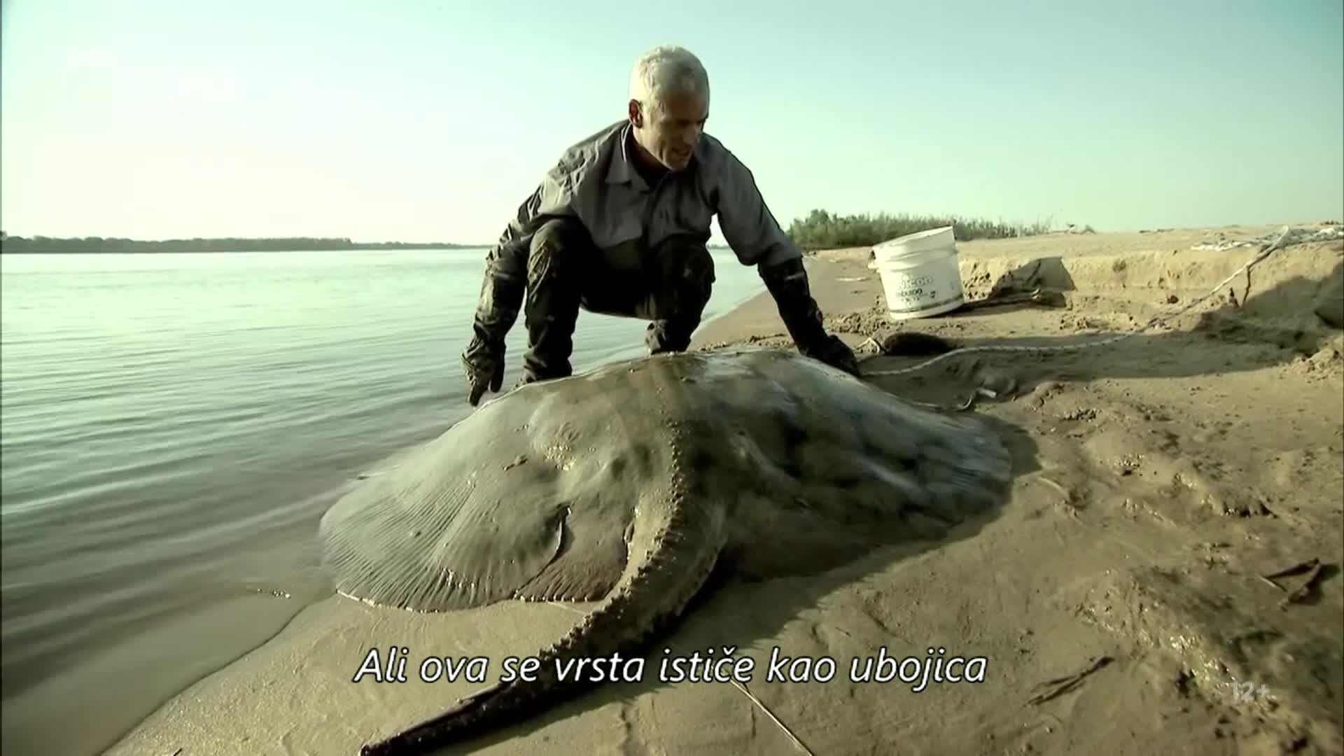 ViasatNature