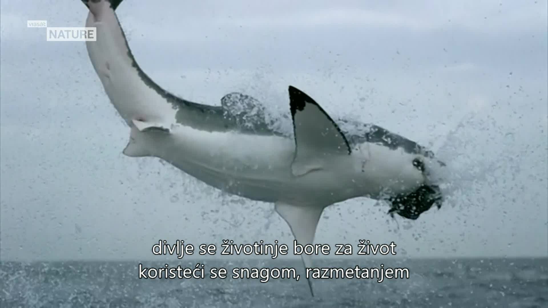 ViasatNature