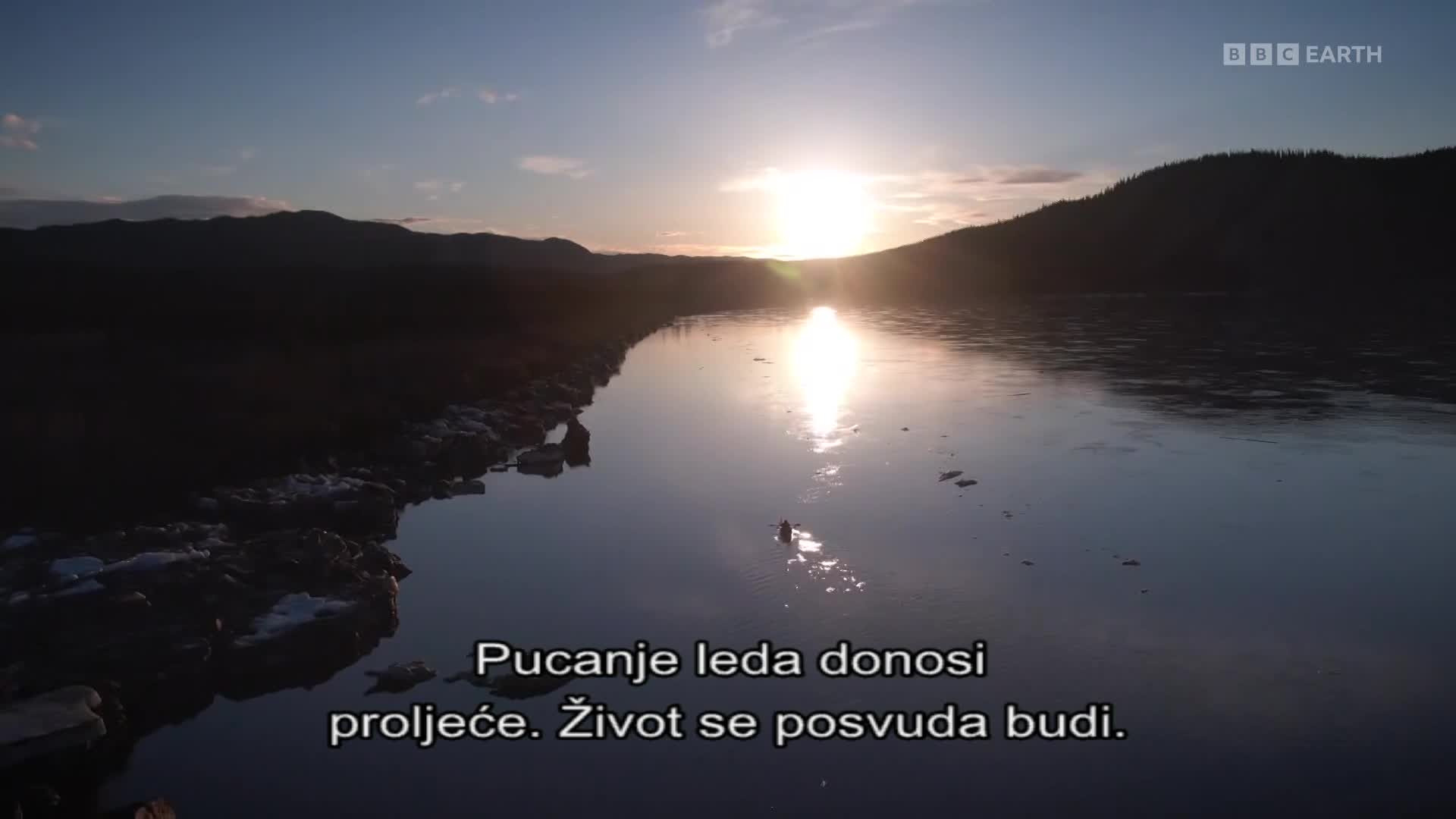 BBCEarth