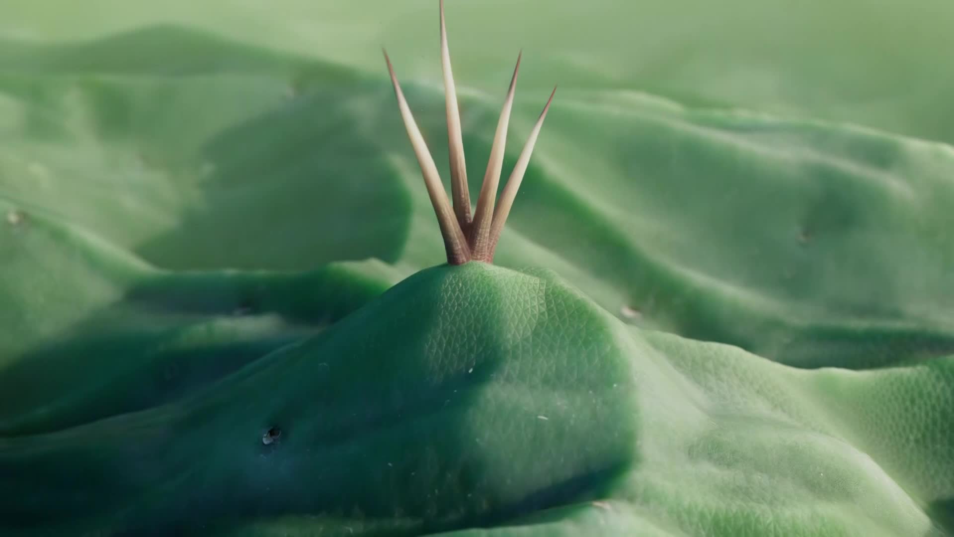 ViasatNature