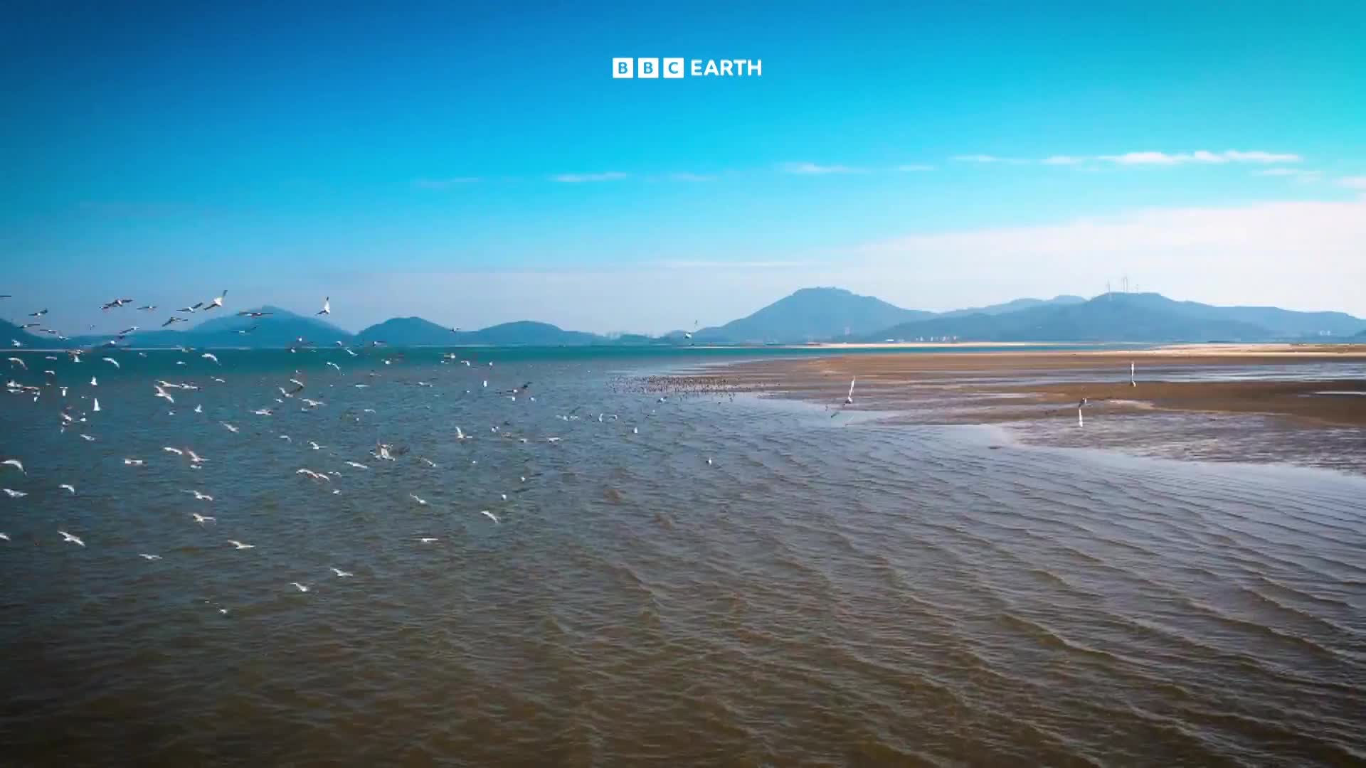 BBCEarth