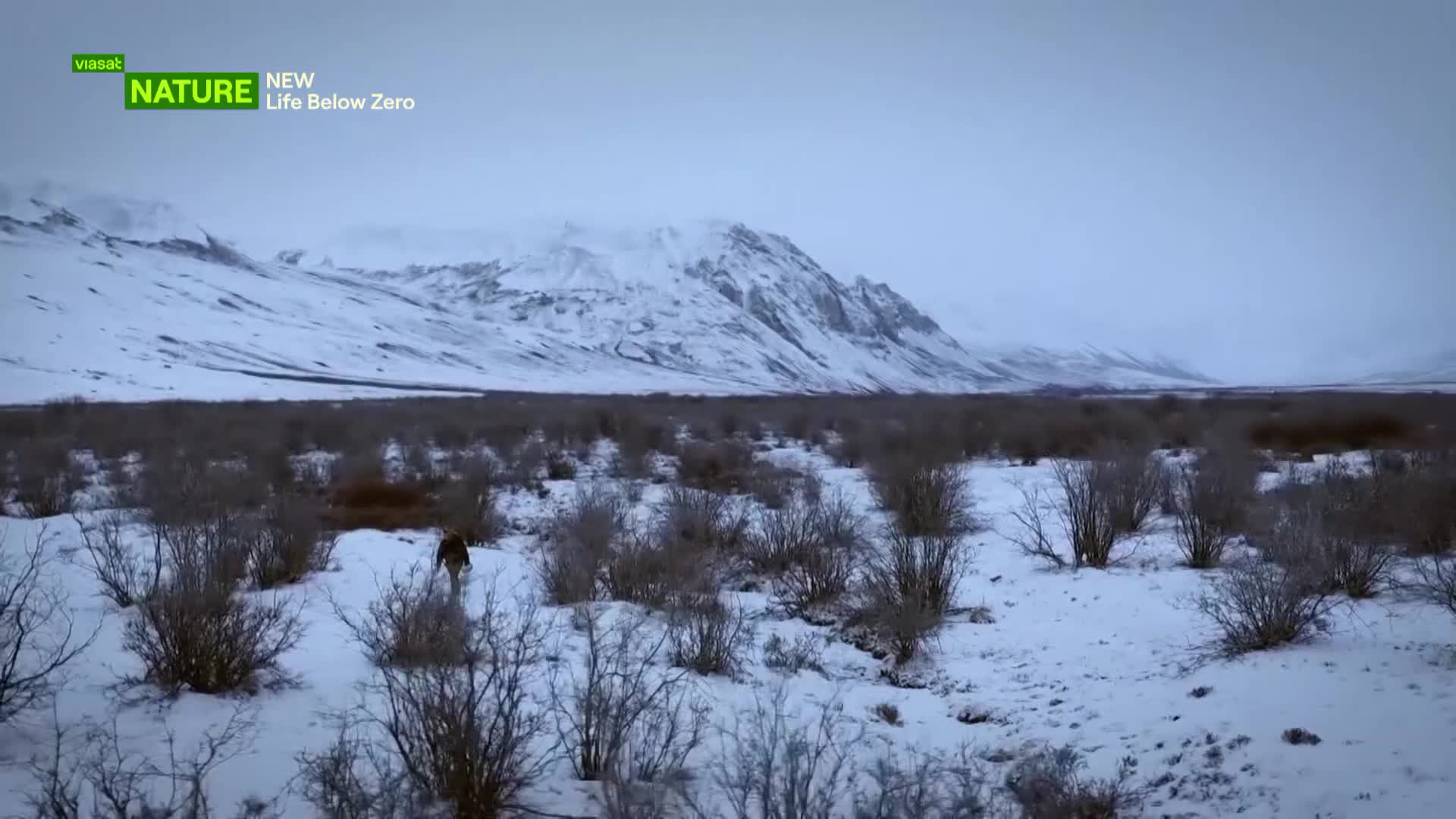 ViasatNature