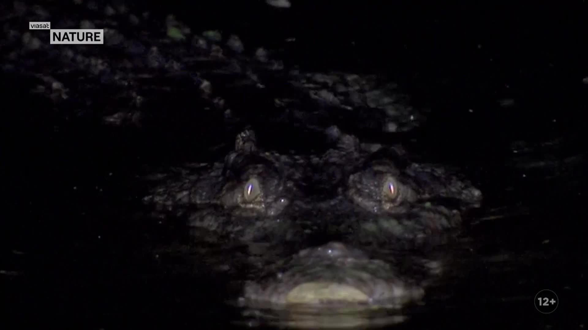 ViasatNature