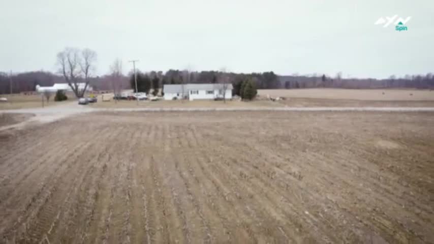 AXNSpin