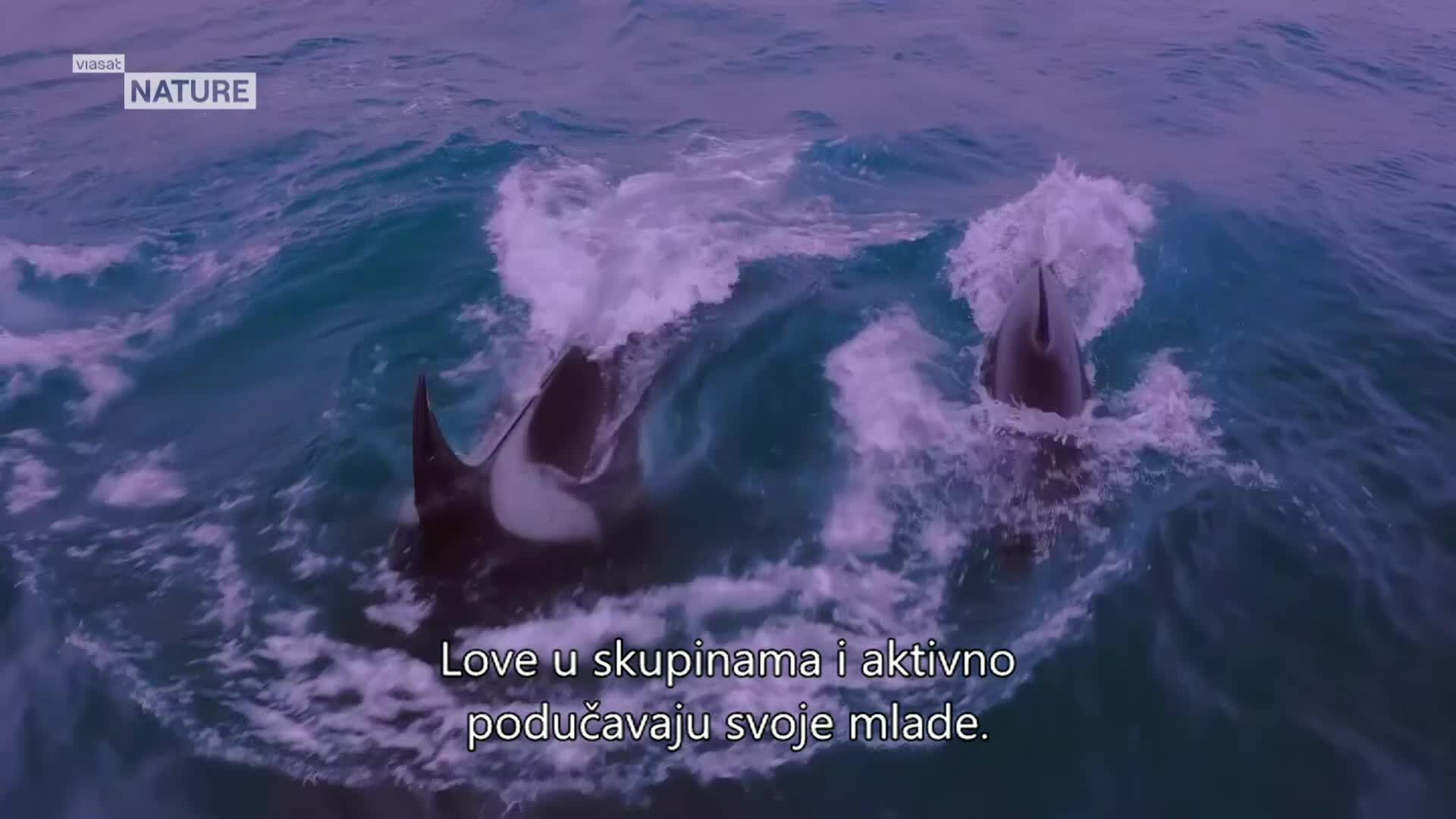 ViasatNature