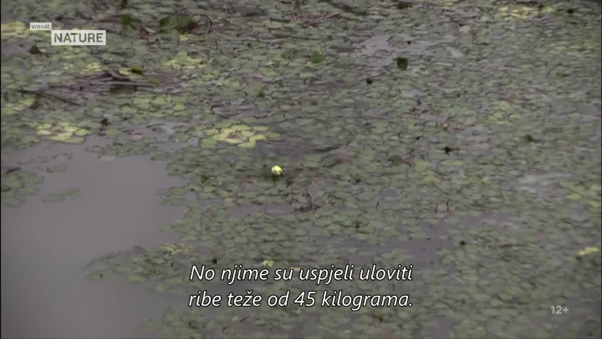 ViasatNature