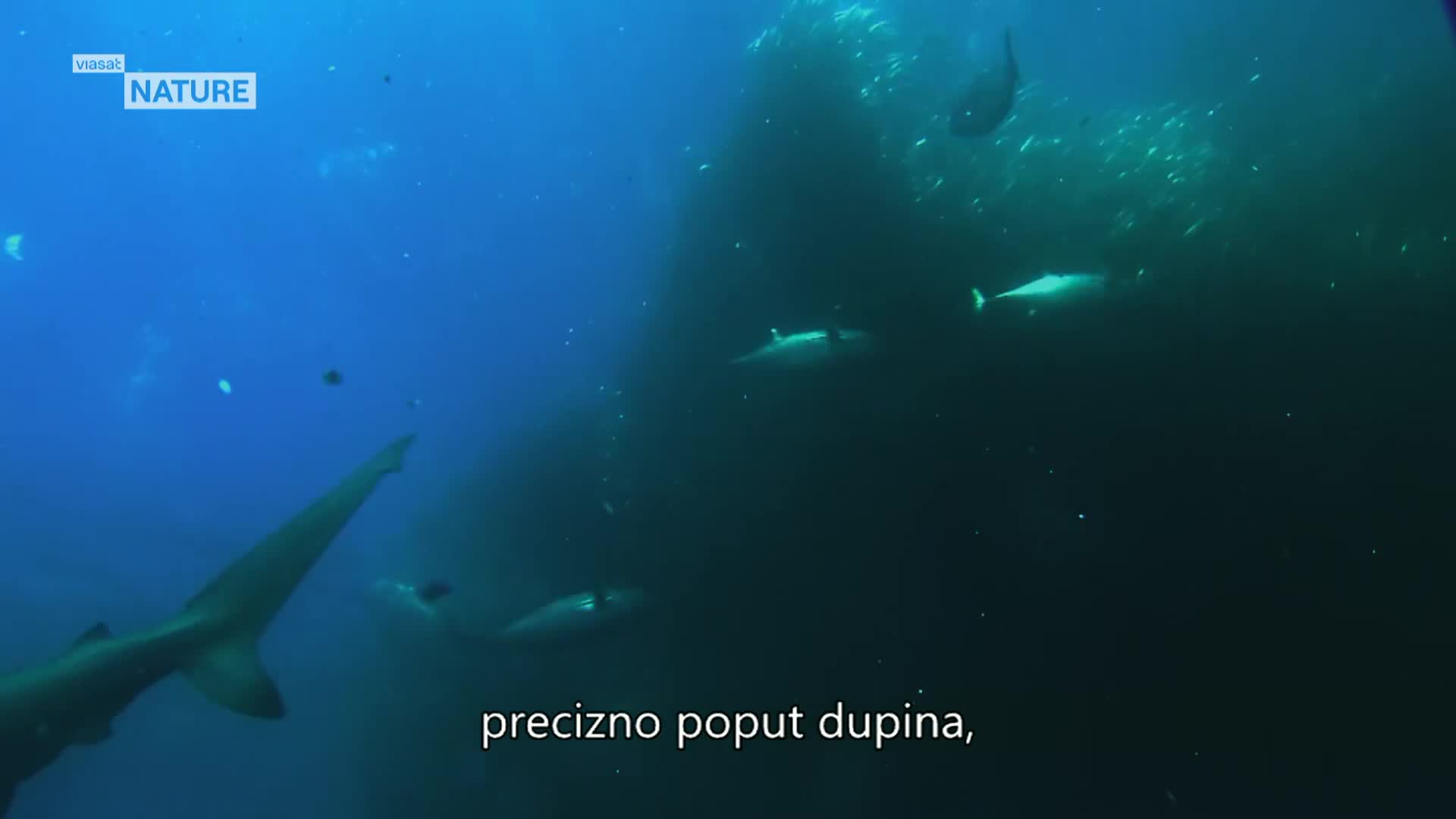 ViasatNature