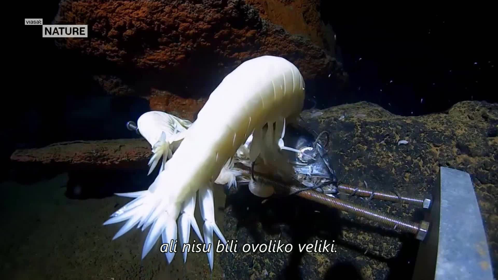 ViasatNature