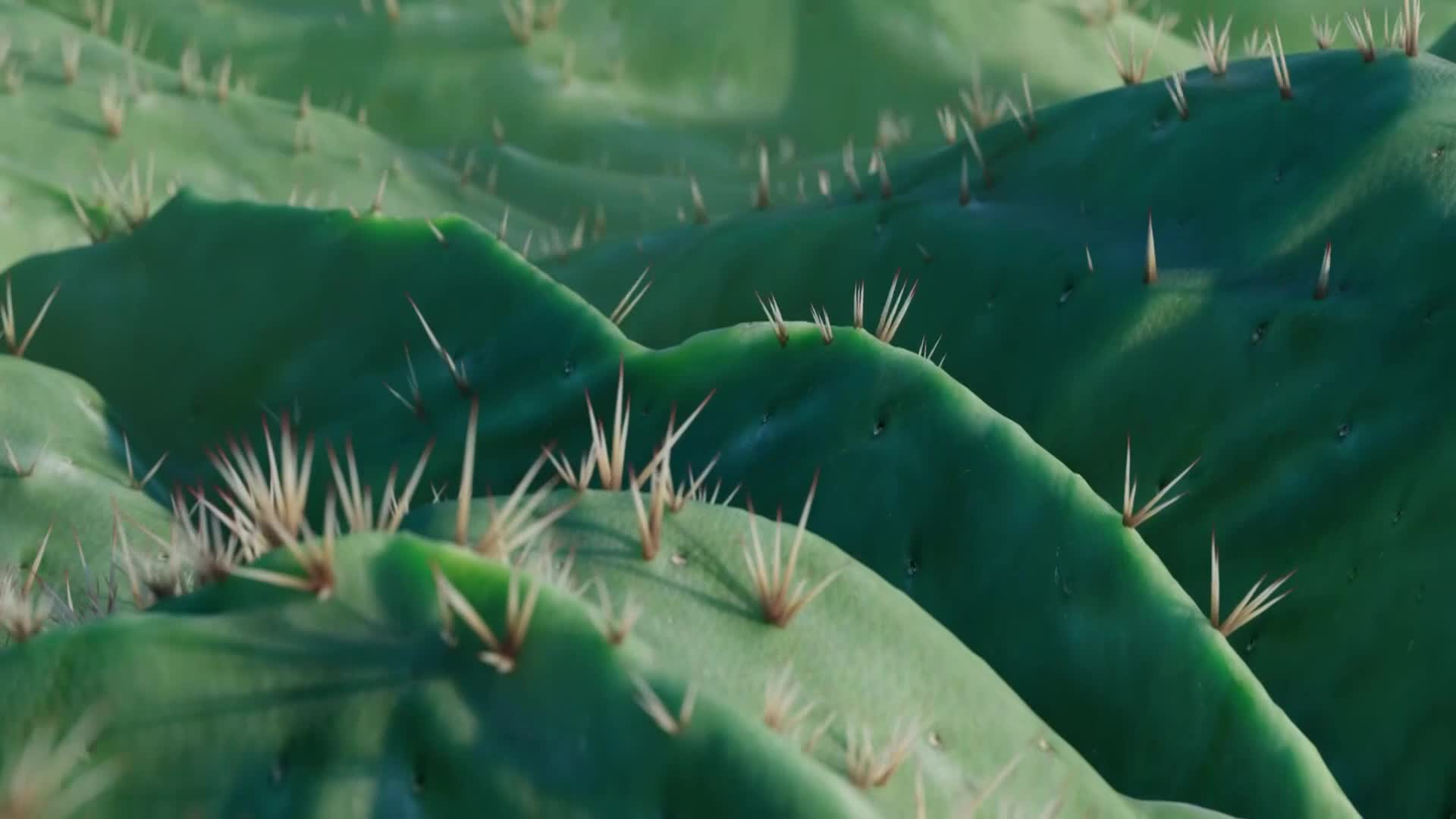 ViasatNature