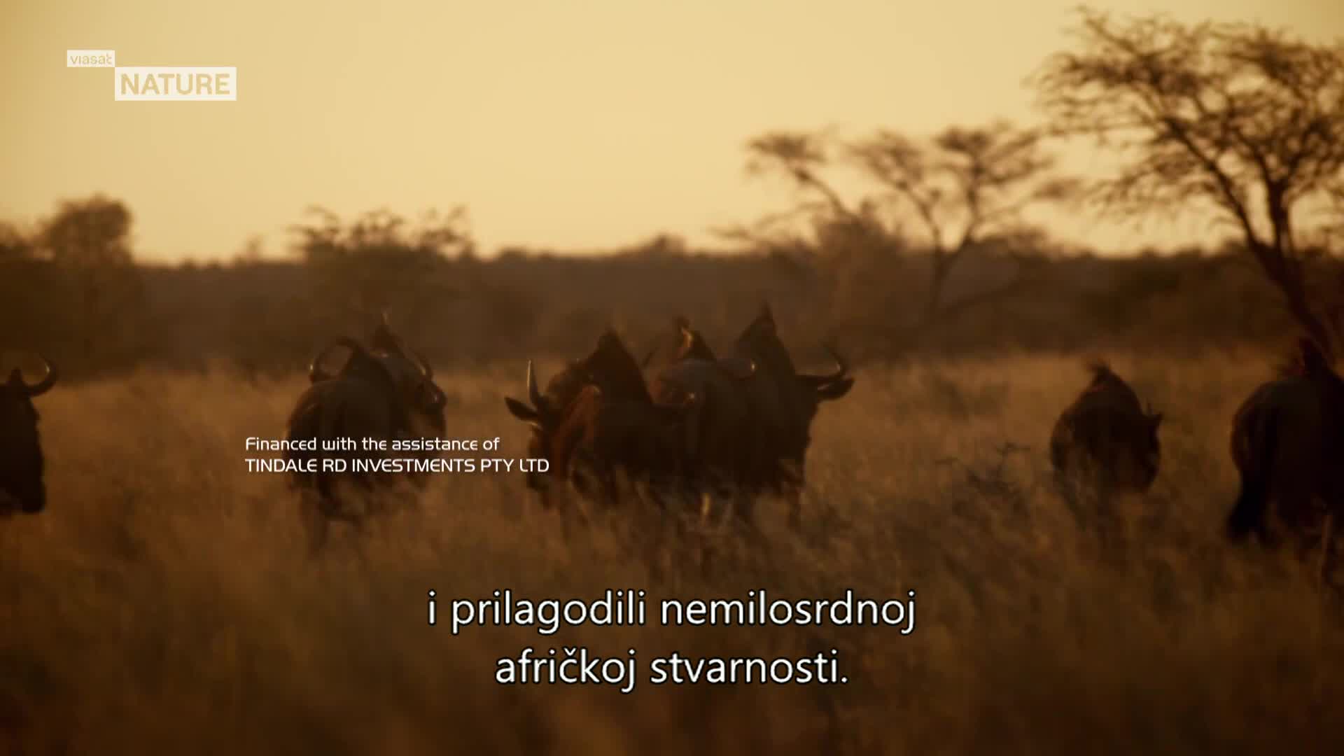 ViasatNature