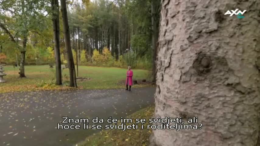 AXNSpin