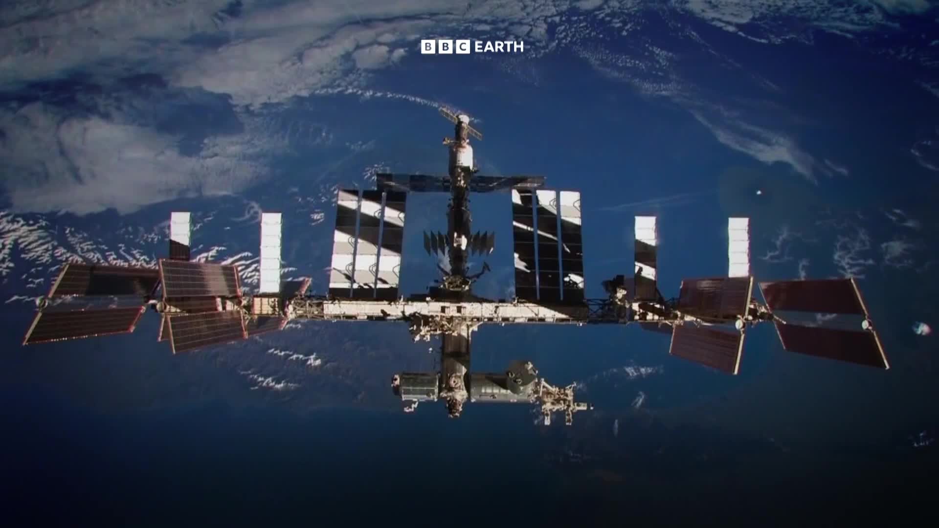 BBCEarth